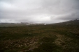 Thumbnail img_4862.jpg 