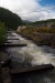 Thumbnail img_4905.jpg 