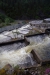 Thumbnail img_4906.jpg 