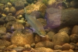 Thumbnail img_4922.jpg 