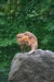 Thumbnail img_5421.jpg 