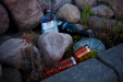 Thumbnail _mg_3343.jpg 
