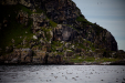 Thumbnail _mg_3906.jpg 