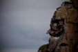 Thumbnail _mg_4228.jpg 
