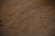 Thumbnail _mg_4328.jpg 