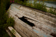 Thumbnail _mg_4363.jpg 