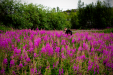 Thumbnail _mg_4393.jpg 
