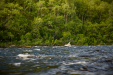 Thumbnail _mg_4707.jpg 