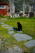 Thumbnail _mg_4858.jpg 