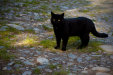 Thumbnail _mg_4865.jpg 