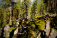 Thumbnail _mg_4911.jpg 