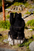 Thumbnail _mg_4921.jpg 