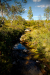 Thumbnail _mg_4980.jpg 