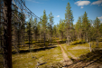 Thumbnail _mg_5082.jpg 