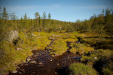 Thumbnail _mg_5122.jpg 