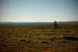 Thumbnail _mg_5150.jpg 