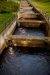 Thumbnail _mg_5284.jpg 