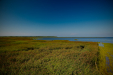 Thumbnail _mg_5654.jpg 