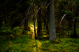 Thumbnail _mg_5670.jpg 