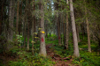Thumbnail _mg_5729.jpg 