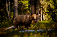 Thumbnail _mg_5857.jpg 