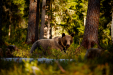 Thumbnail _mg_5868.jpg 