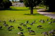 Thumbnail _mg_7510.jpg 