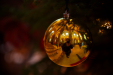 Thumbnail _mg_1557.jpg 