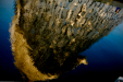 Thumbnail _mg_1779.jpg 