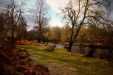Thumbnail _mg_2075.jpg 
