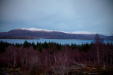 Thumbnail _mg_2178.jpg 
