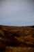 Thumbnail _mg_2198.jpg 