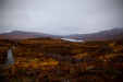 Thumbnail _mg_2203.jpg 