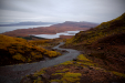 Thumbnail _mg_2208.jpg 