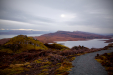 Thumbnail _mg_2226.jpg 