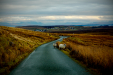 Thumbnail _mg_2365.jpg 