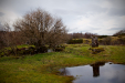 Thumbnail _mg_2479.jpg 