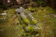 Thumbnail _mg_2484.jpg 