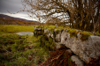 Thumbnail _mg_2496.jpg 
