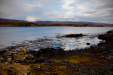 Thumbnail _mg_2564.jpg 