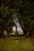 Thumbnail _mg_2763.jpg 