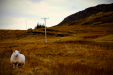 Thumbnail _mg_2821.jpg 