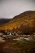 Thumbnail _mg_3007.jpg 