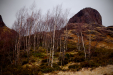 Thumbnail _mg_3024.jpg 