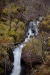 Thumbnail _mg_3033.jpg 