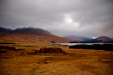 Thumbnail _mg_3081.jpg 