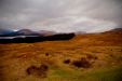 Thumbnail _mg_3083.jpg 