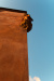Thumbnail img_3536.jpg 