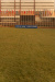 Thumbnail img_3718.jpg 