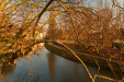 Thumbnail img_3861.jpg 